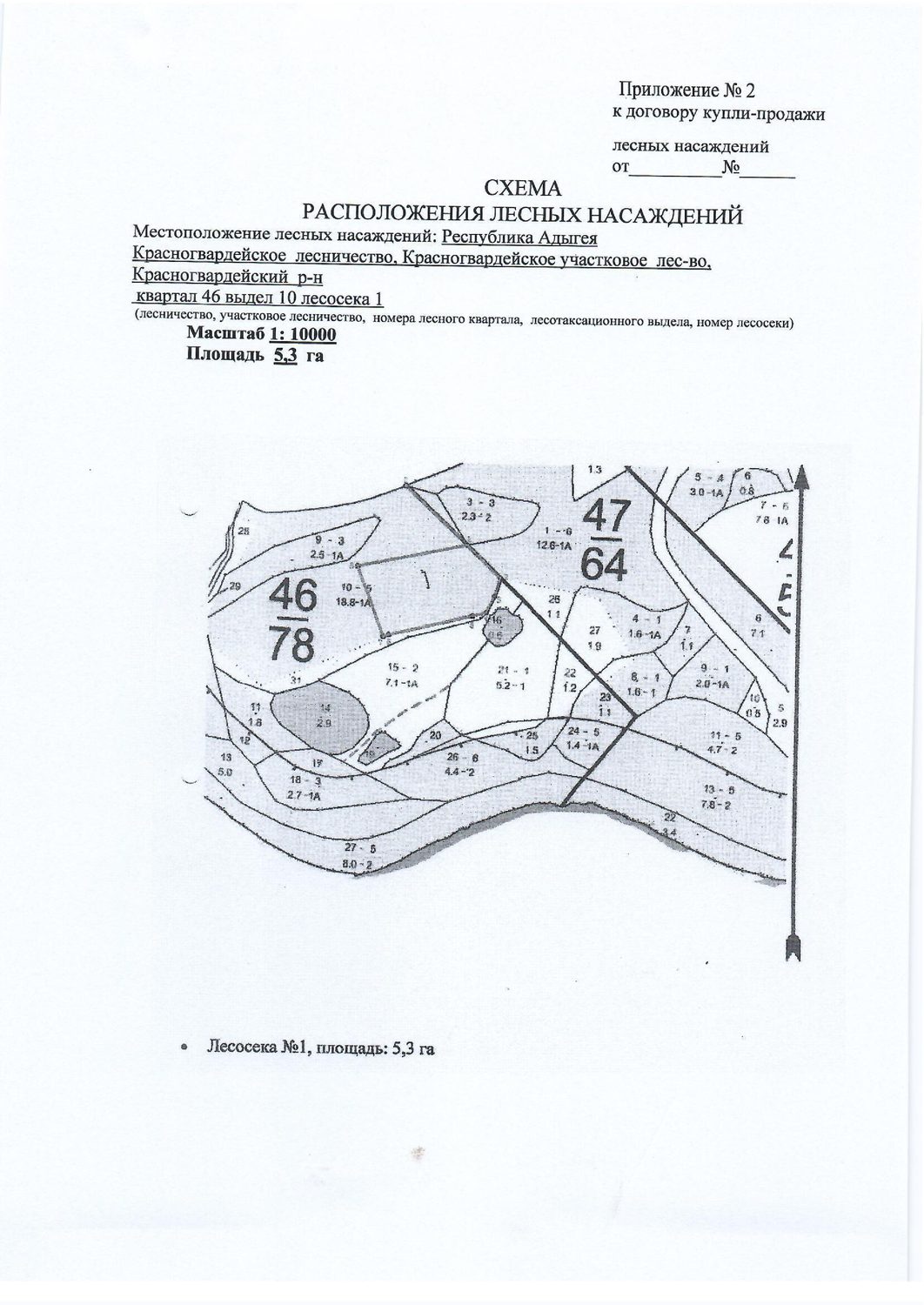 Лесные насаждения