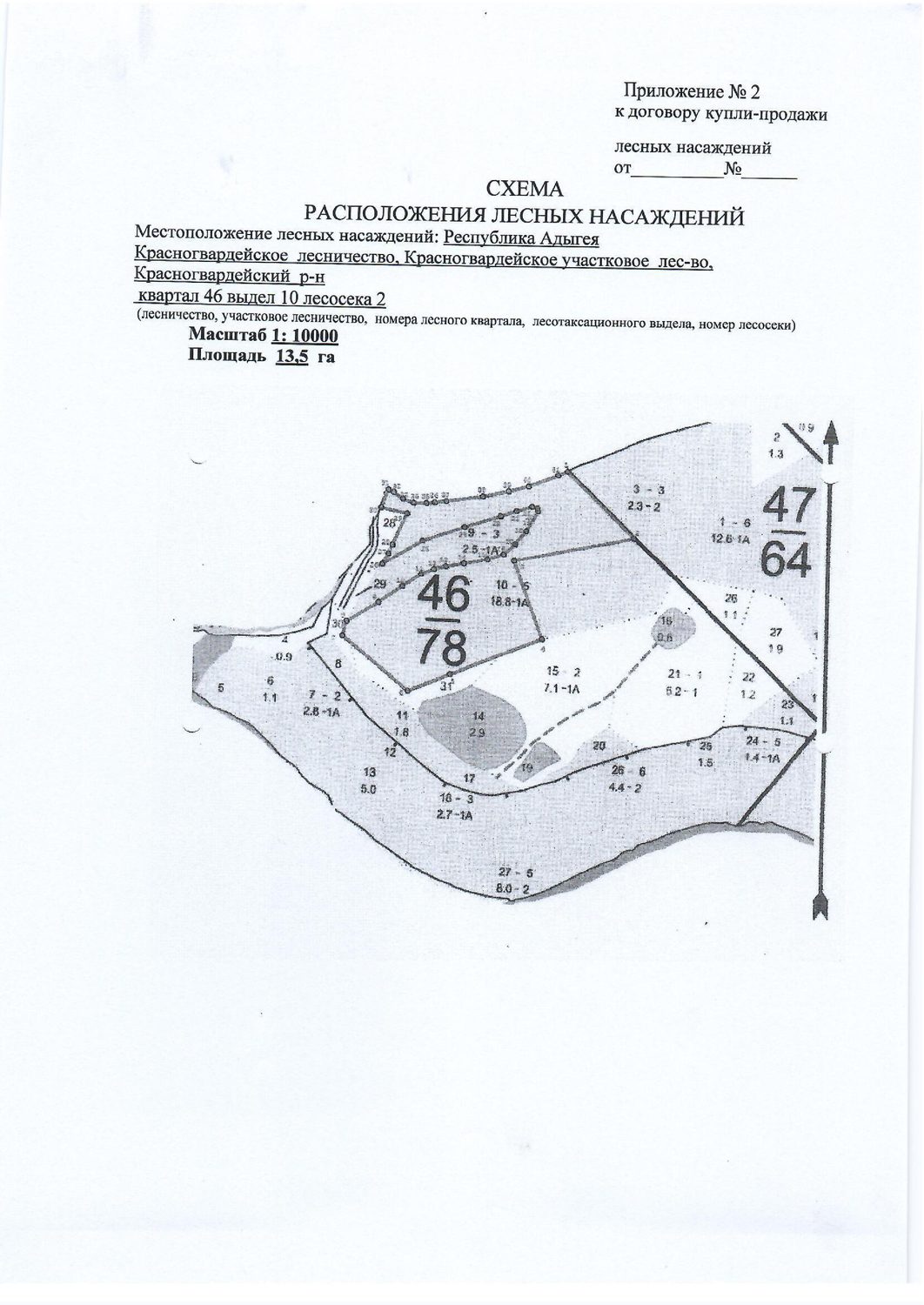 Лесные насаждения
