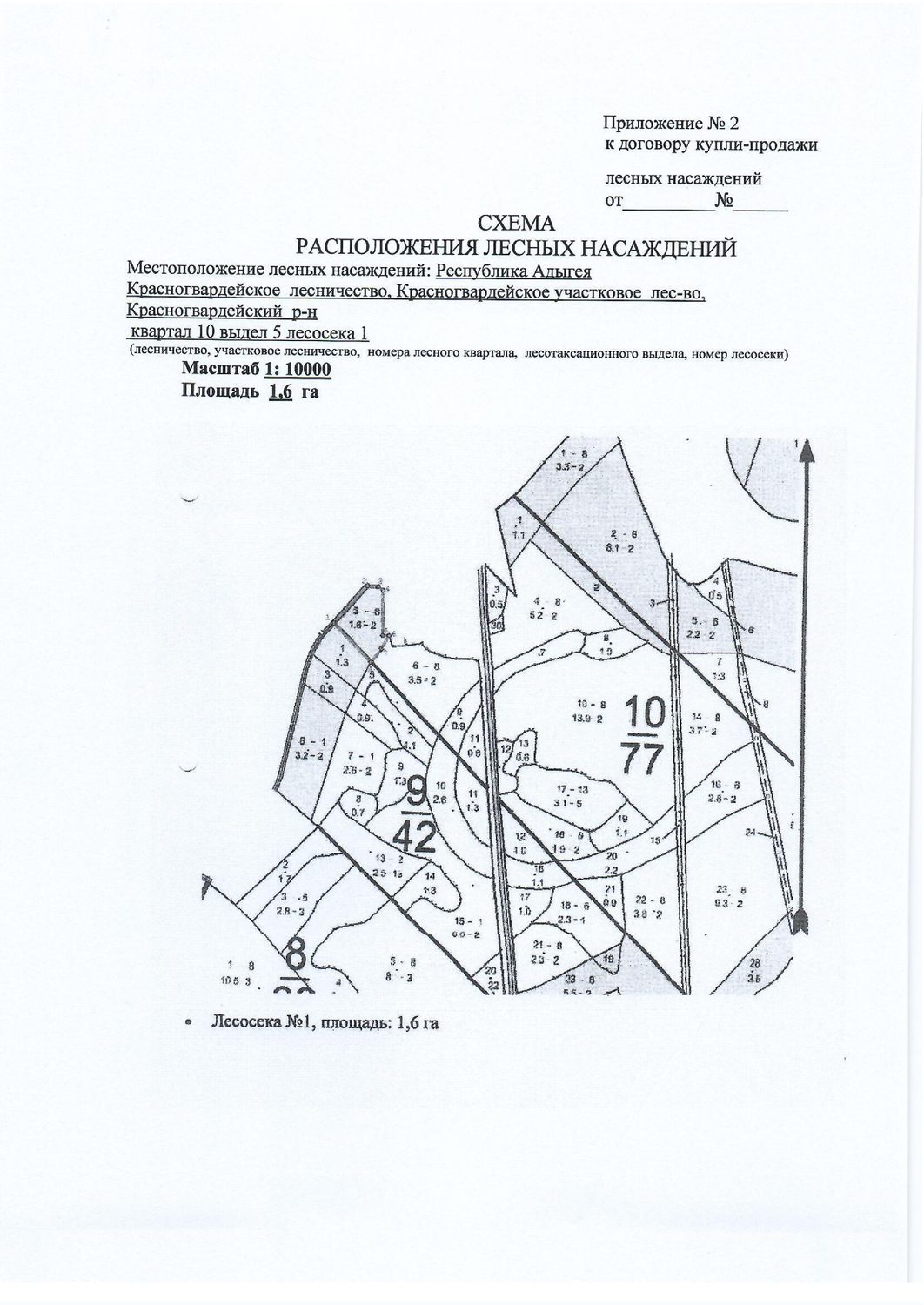 Лесные насаждения