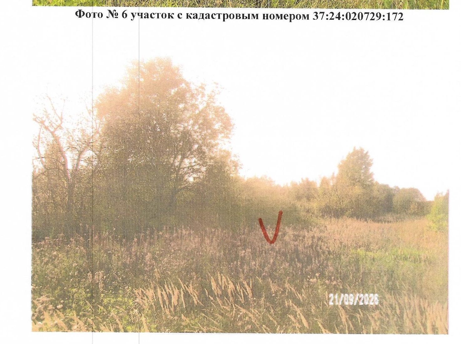 земельный участок с кадастровым номером 37:24:020729:172, расположенный по адре…