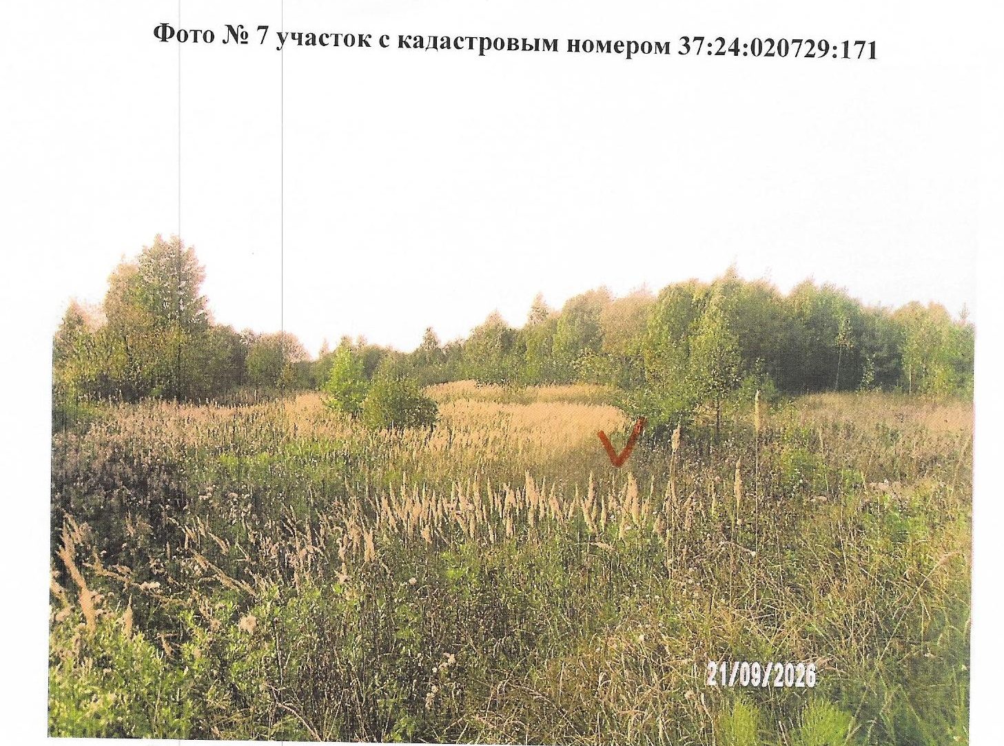 земельный участок с кадастровым номером 37:24:020729:171, расположенный по адре…