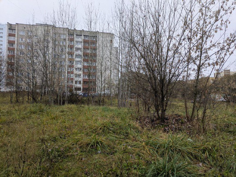 Право заключения договора аренды земельного участка, государственная собственно…