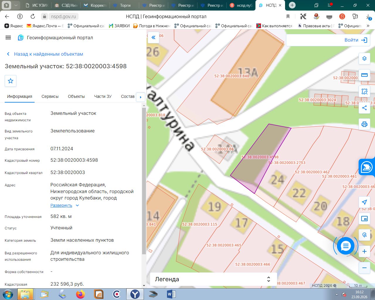 Земельный участок с кадастровым номером 52:38:0020003:4598