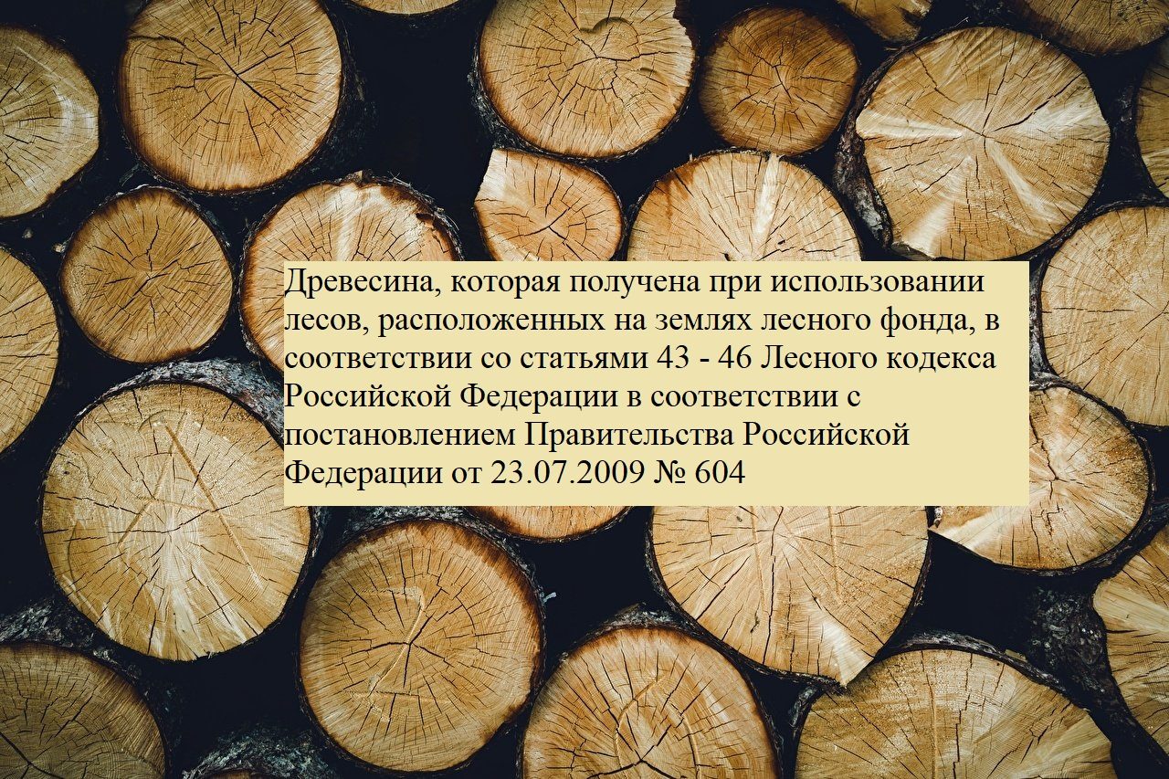 Древесина, которая получена при использовании лесов, расположенных на землях ле…