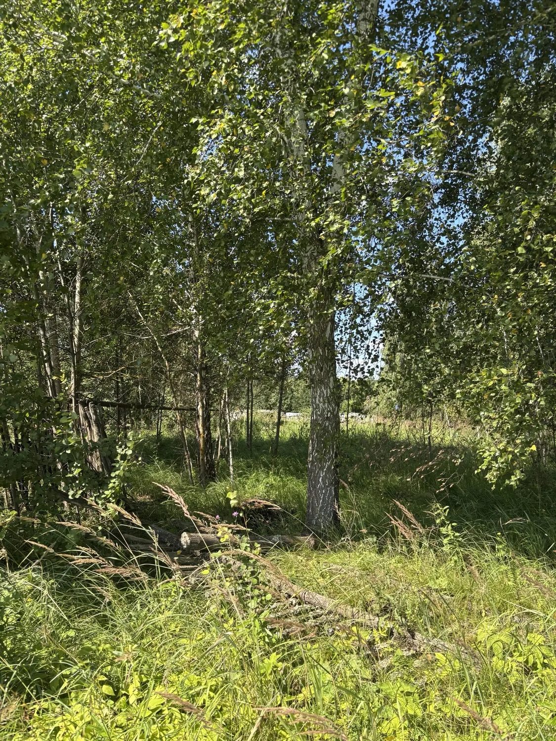 земельный участок с кадастровым номером: 50:33:0010510:504, площадью 1423,0 кв.…