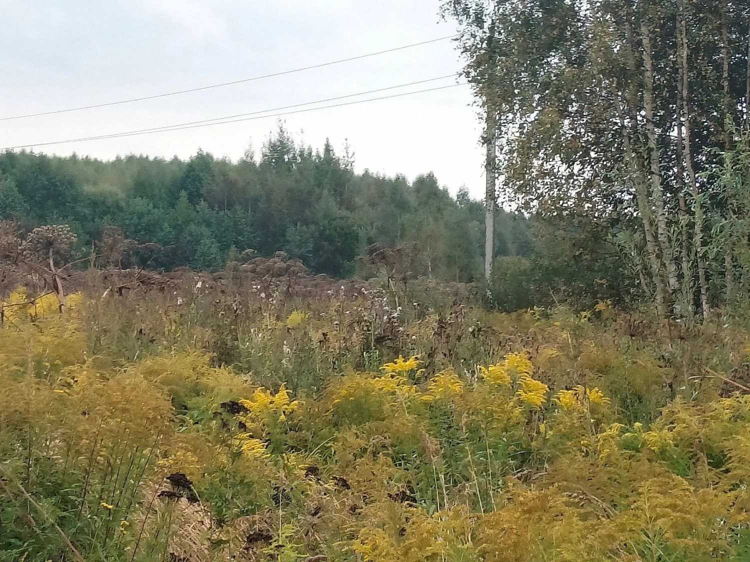 Предметом аукциона в электронной форме является право заключения договора аренд…