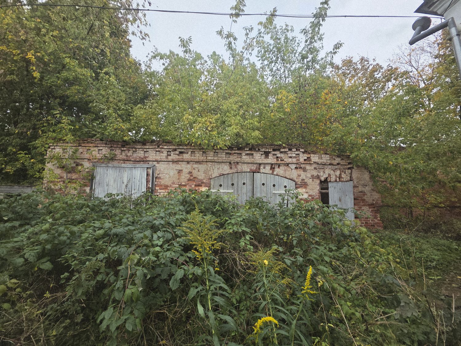 Иное сооружение (сарай каретный), расположенное по адресу: Тверская область, г.…