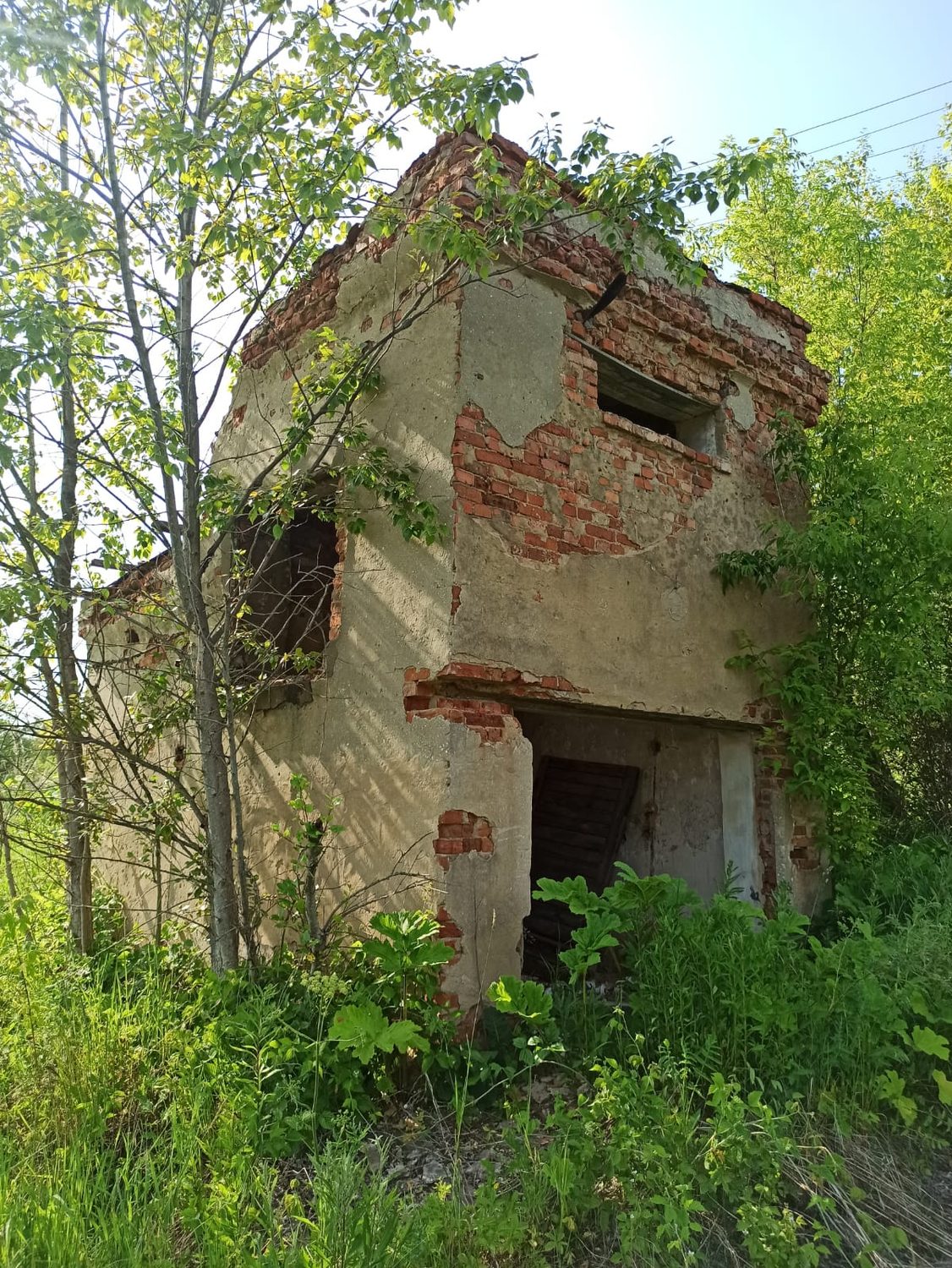 комплекс зданий с земельным участком