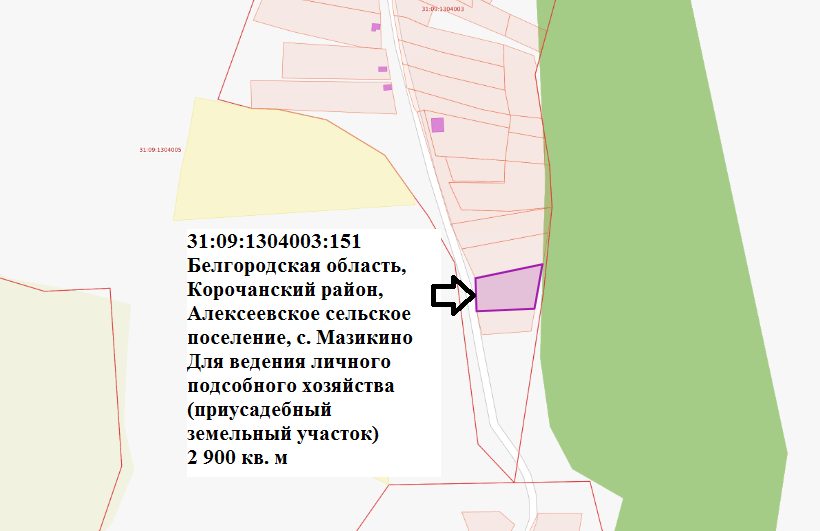 Предоставление в аренду земельного участка с кадастровым номером 31:09:1304003:…