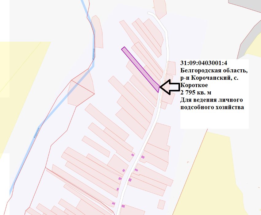 Предоставление в аренду земельного участка с кадастровым номером 31:09:0403001:4