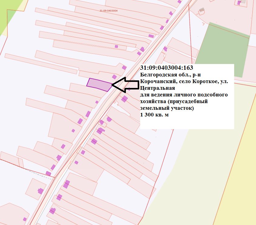 Предоставление в аренду земельного участка с кадастровым номером 31:09:0403004:…