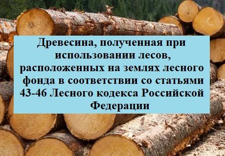 Продажа древесины, которая получена при использовании лесов, расположенных на з…