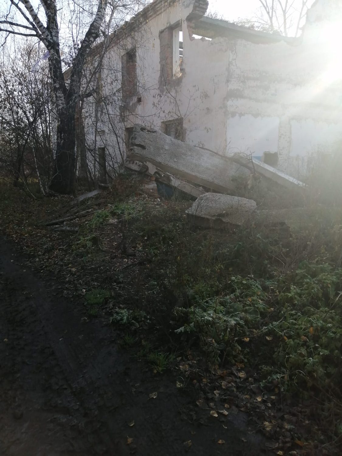 Нежилое здание с земельным участком, расположенное по адресу: Алтайский край, П…