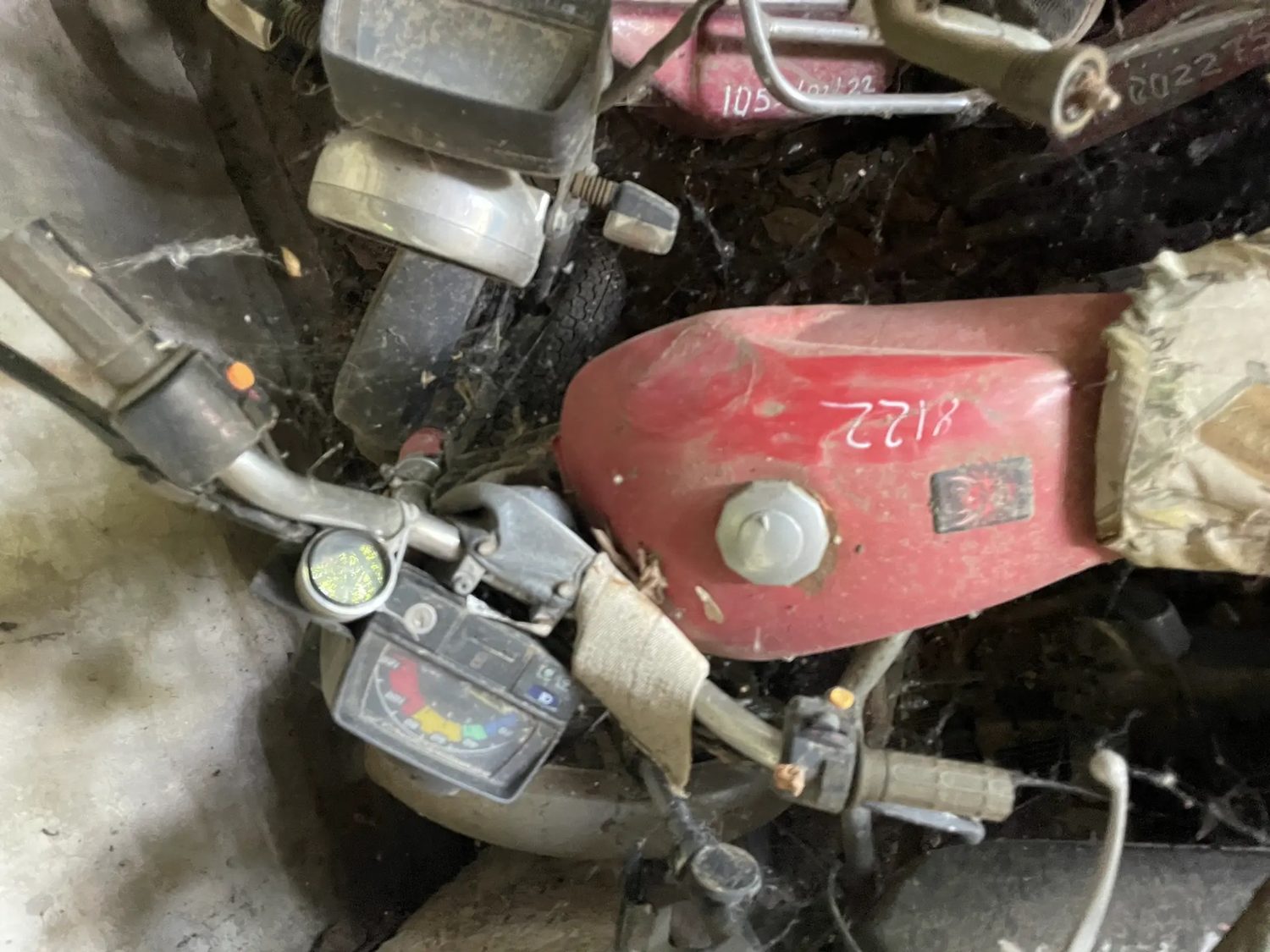 Мопед марки Alpha ZS50F, год выпуска не установлен, двигатель № LWMPCALA9710030…