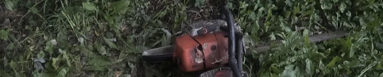 Бензопила Штиль 180, бензопила Штиль 361, комплектность и состояние не проверял…