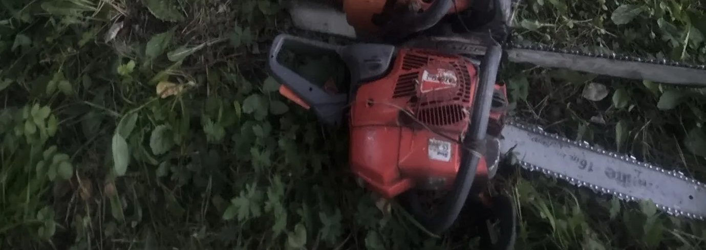 Бензопила HUSQVARNA, бензопила Oleo-Mac, комплектность и состояние не проверяло…