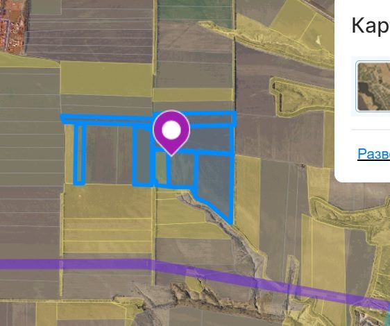 Лот № 1 Земельный участок из земель сельскохозяйственного назначения, разрешенн…