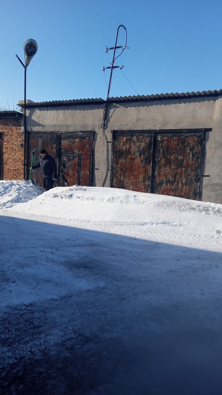 земельный участок площадью 99 кв. м с кадастровым номером 22:38:020855:99, РНФИ…