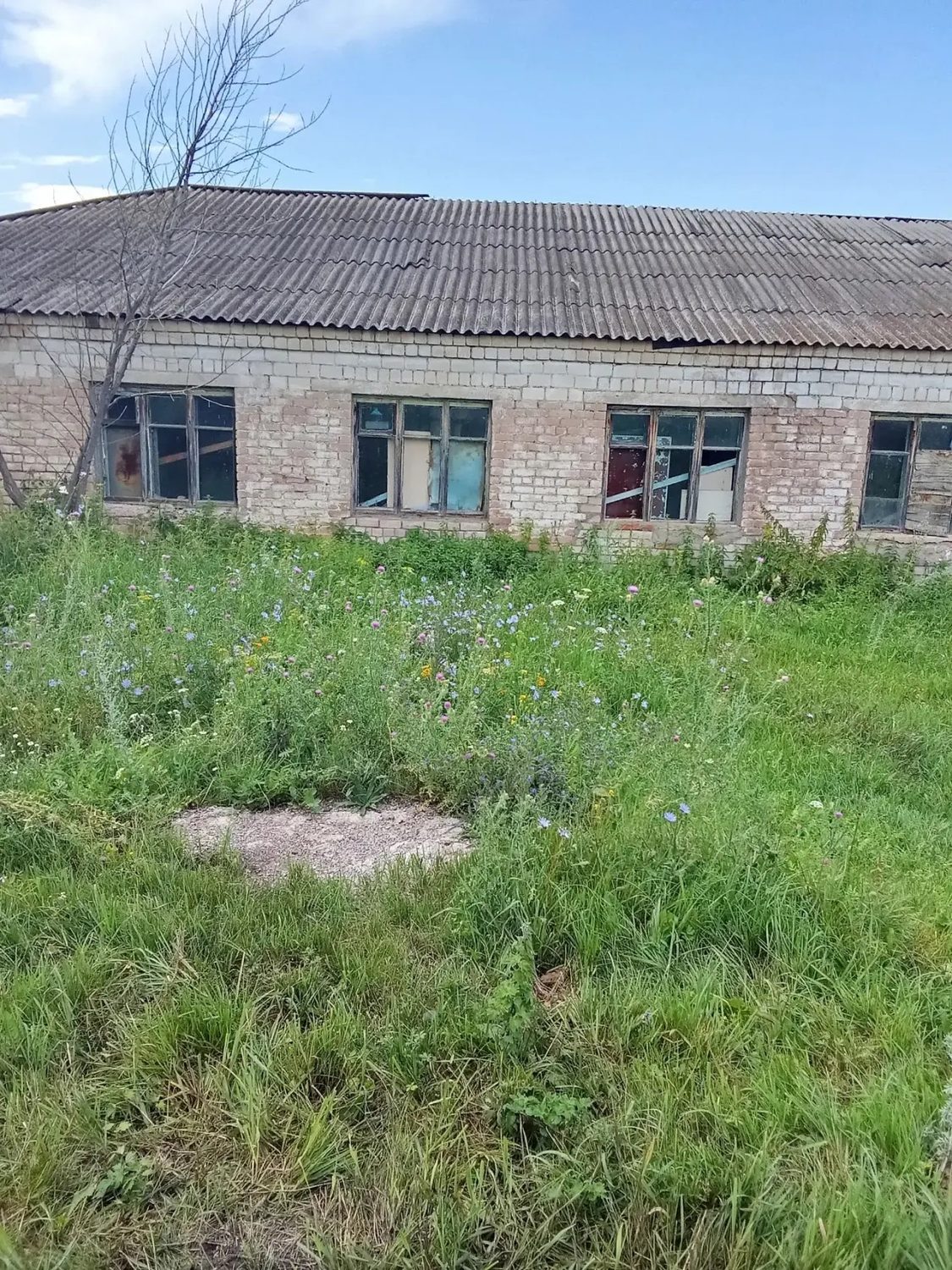здание, назначение: нежилое здание,