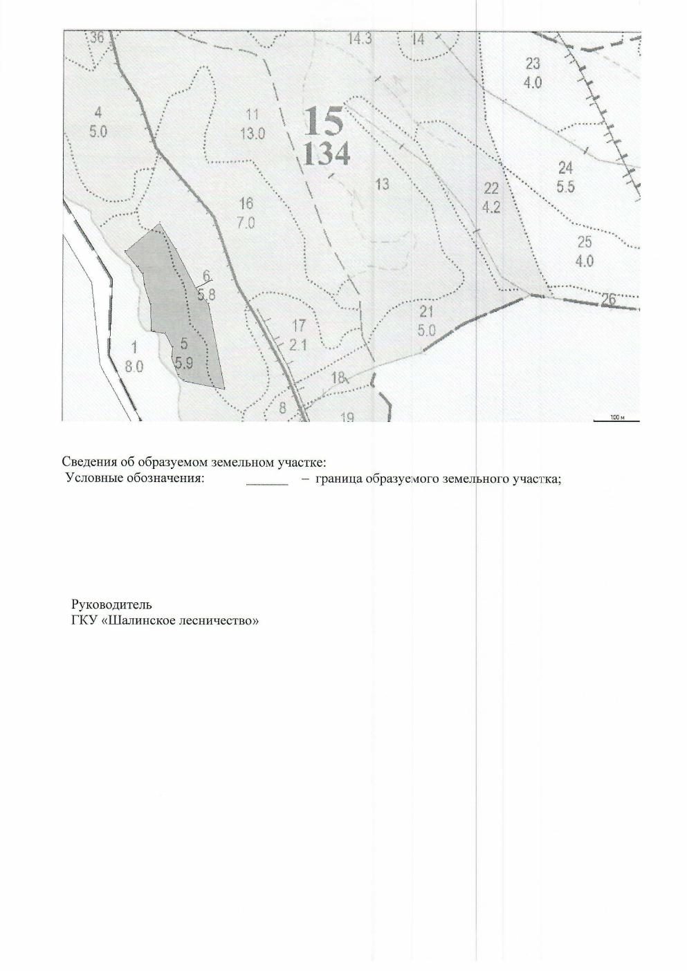 Лот 6. Право на заключение договора аренды лесного участка, находящегося в госу…