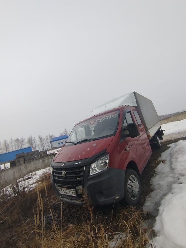 Грузовой бортовой; 3009К7