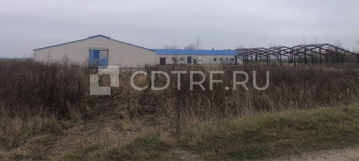 Здание - коровник №1 на 200 голов КРС с доильным залом, 1381,8 кв.м., Брянская …