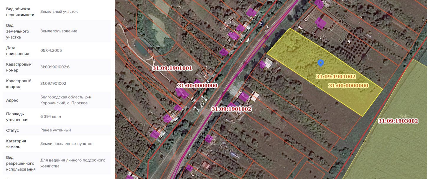 Предоставление в аренду земельного участка с кадастровым номером 31:09:1901002:6
