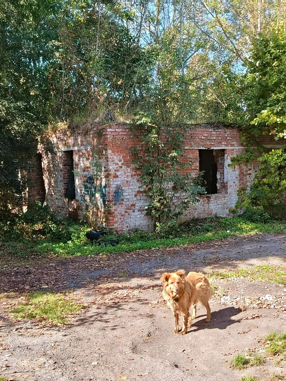 Лот № 6