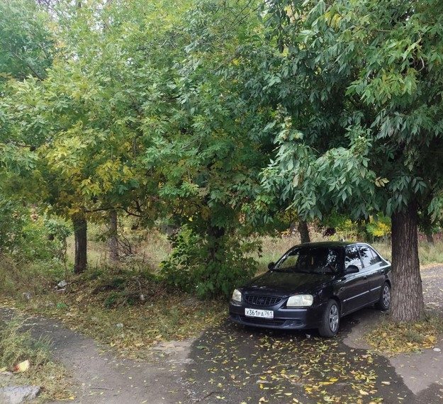 право на размещение нестационарного торгового объекта, за исключением нестацион…